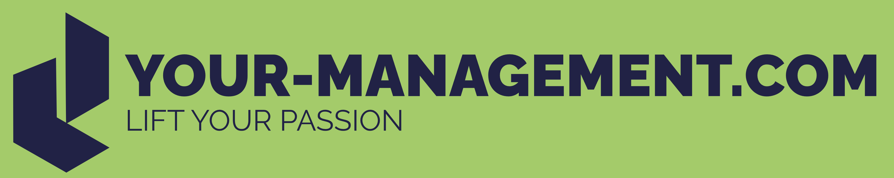 your-management.com